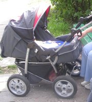 Детская коляска Deltim VOYAGER 005