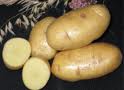 Картофель крупный оптом или в розницу. 850р. за кг.