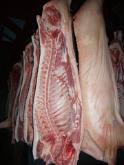 Свинина от 500 кг. до 2-х тонн (в неделю)