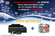 Принтер Epson L800 + подарок
