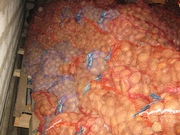 Картофель в Беларуси. Сорт Бриз. Калибр 5-8+. 10 % в сетке порченой.