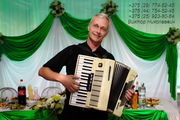 Баянист-аккордеонист на юбилей в Минске