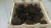  грибы черные трюфели
