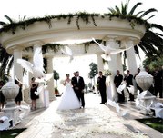 Голуби на свадьбу,  Белые голуби,  Свадебные голуби. Минск 