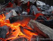 Продам древесный уголь смешанных пород производства 