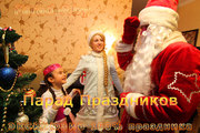 Дед Мороз и Снегурочка в Минске на дом