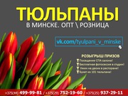 Тюльпаны к 8 марту по самым лучшим ценам