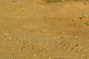 Грунт песчаный,  песок природный
