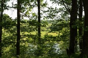 Продается большой участок в лесу на берегу реки.