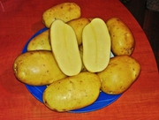 Картофель (Картошка) с доставкой до квартиры