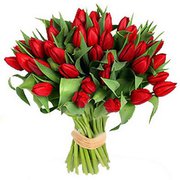 Продажа цветов к 8 марта: крокусы,  примулы,  тюльпаны