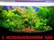 Удобрения(микро,  макро,  калий,  железо) удо для аквариумных растений-+