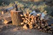 Дрова колотые,  дрова сухие,  дрова березовые