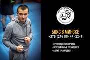 Занятия боксом в Минске