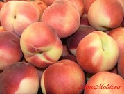 Продаем красивые,  сладкие персики - Коллинс,  Редхевен,  Кардинал...