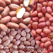 Продам продукция арахиса и изюм,  подсолнечное и другие продукты орех